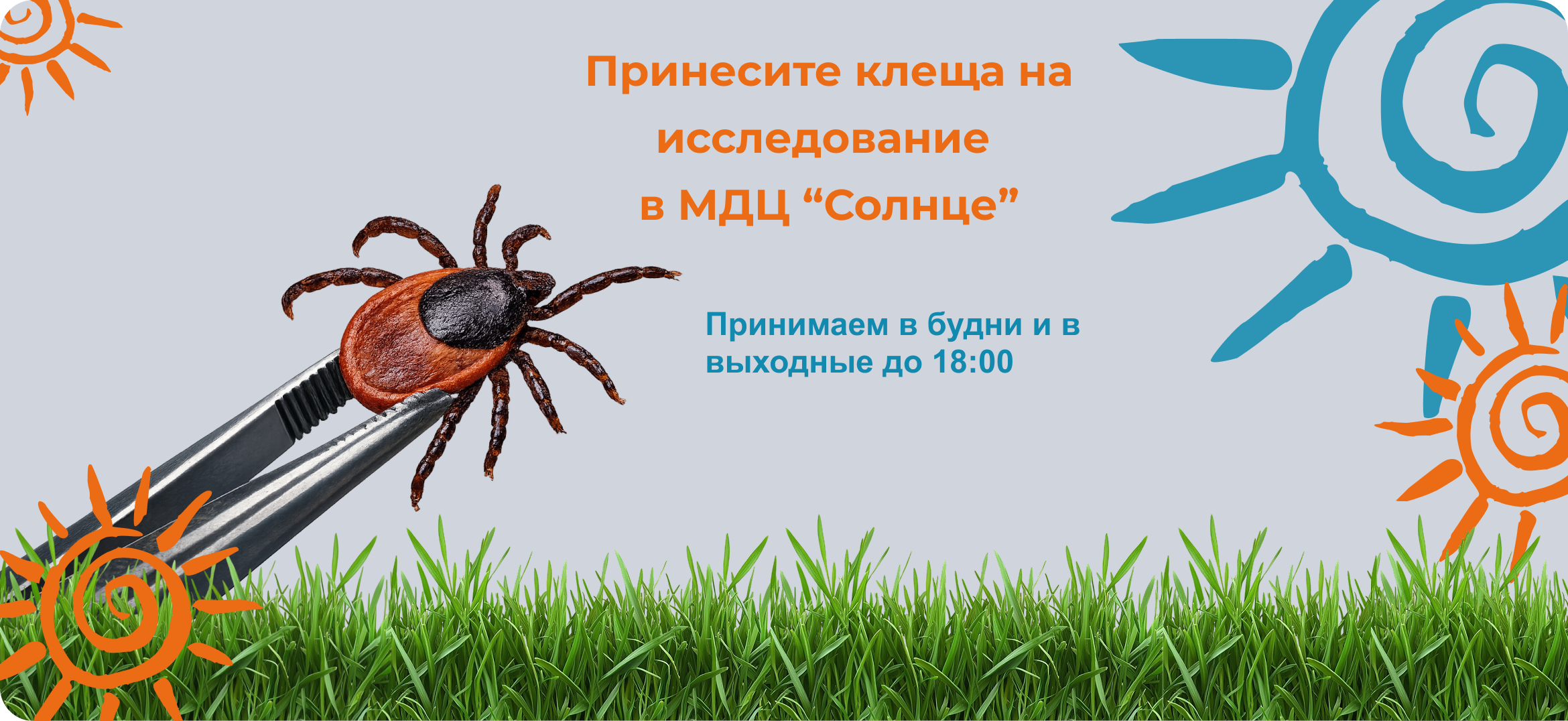 Картинка слайда 